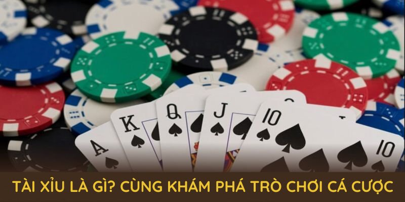 Tài xỉu là gì? Cùng khám phá trò chơi cá cược đầy thú vị tại 18WIN